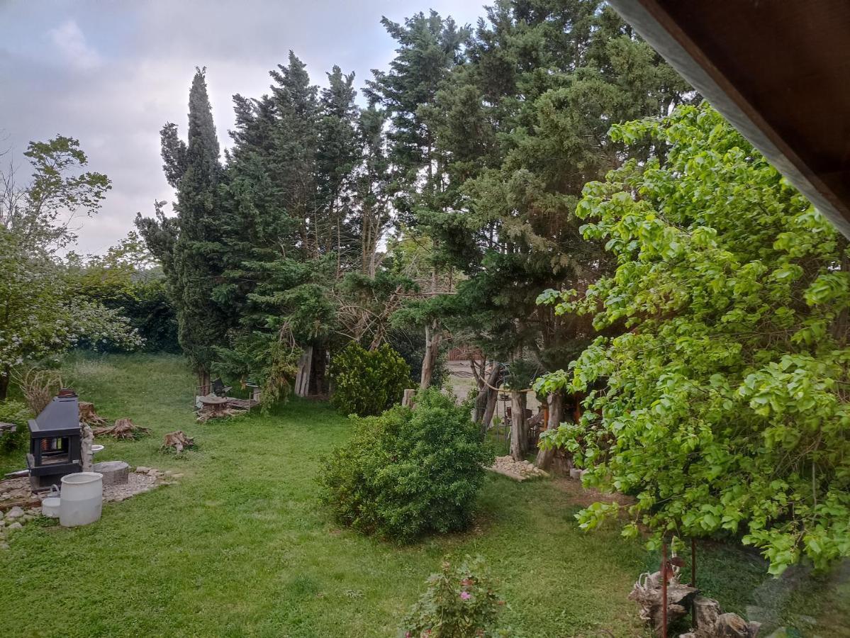Un Jardin Sur La Colline Apartment Claveyson Екстериор снимка